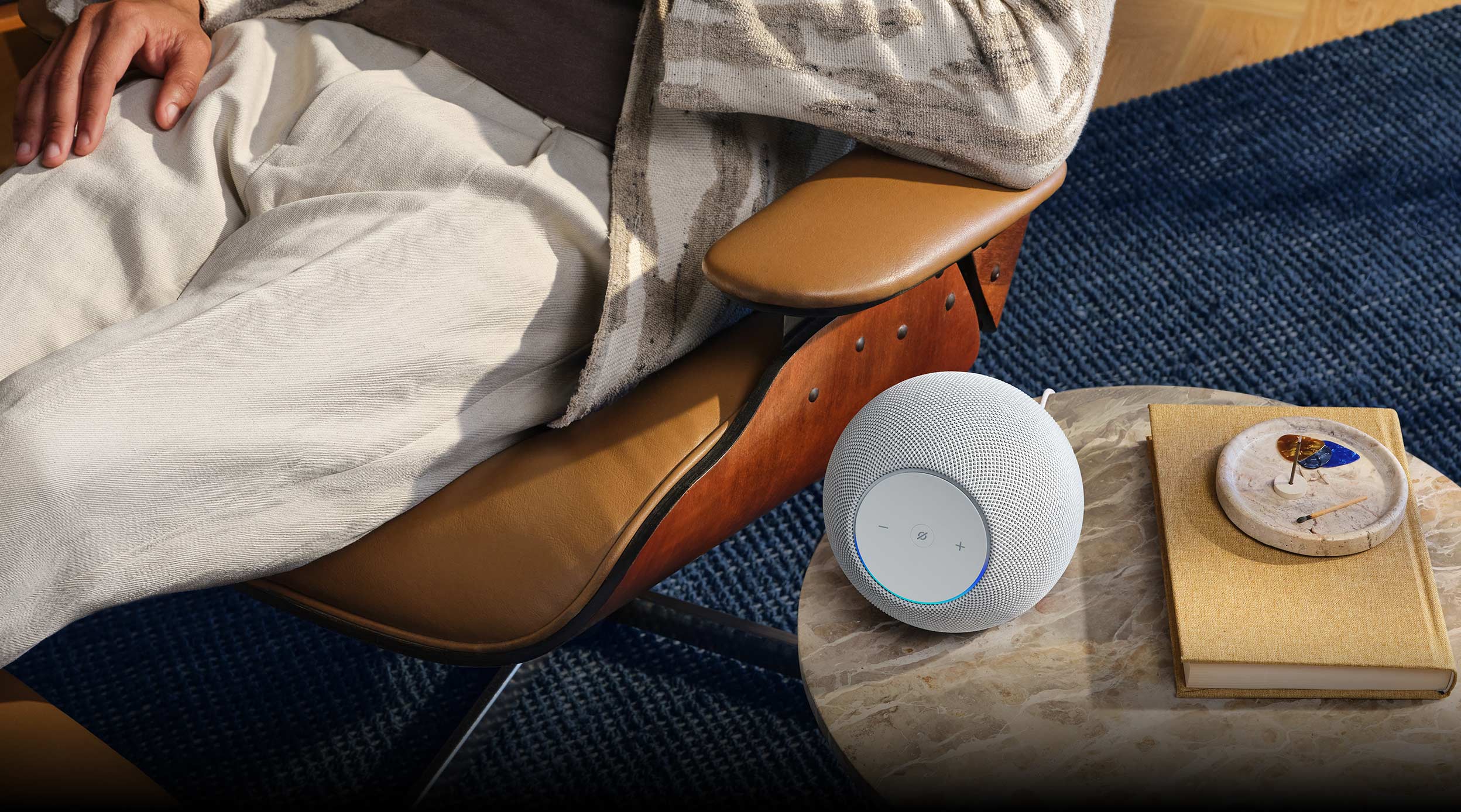 Echo (Mini)